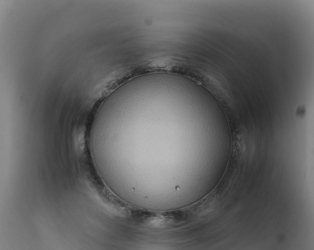 X0000112410504200908281817