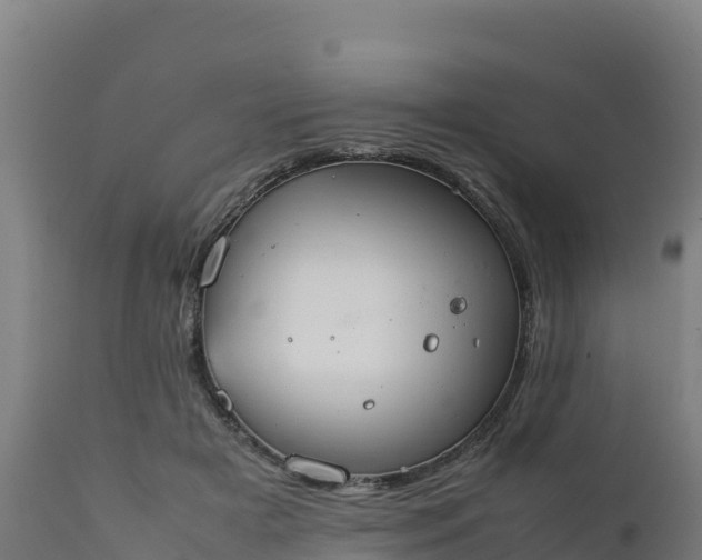 X0000112410505200908281817