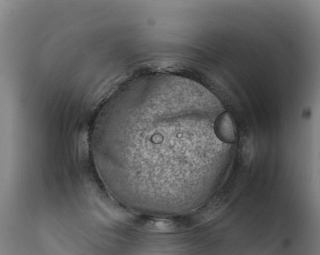 X0000112410506200908281817