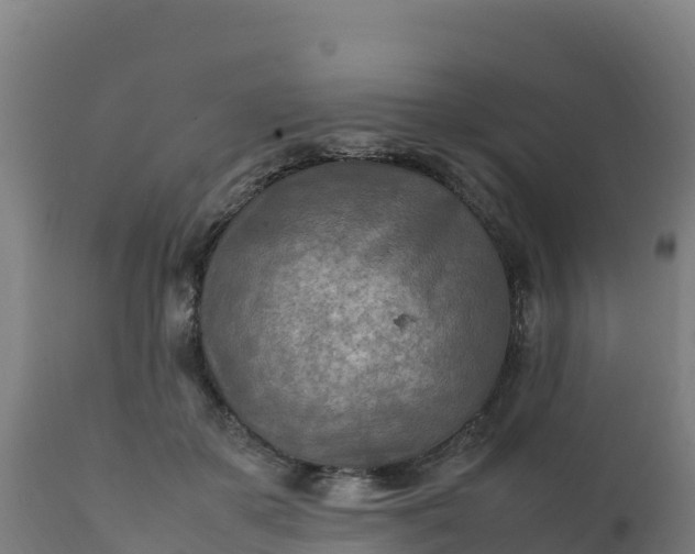 X0000112410507200908281817