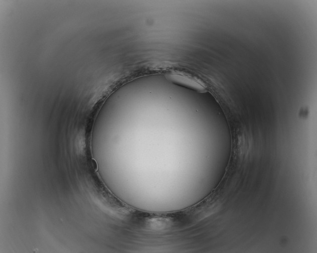 X0000112410508200908281817