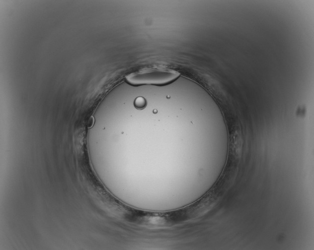 X0000112410509200908281817