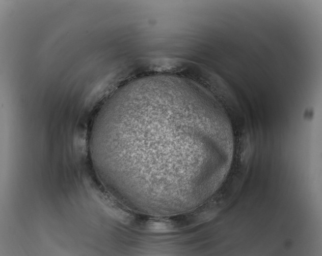 X0000112410510200908281817