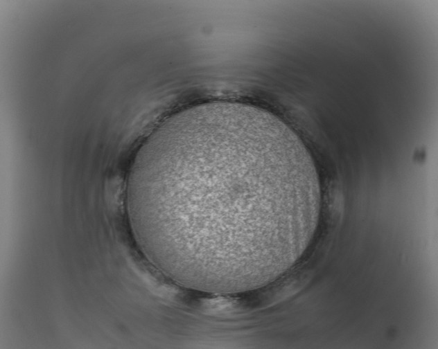 X0000112410511200908281817