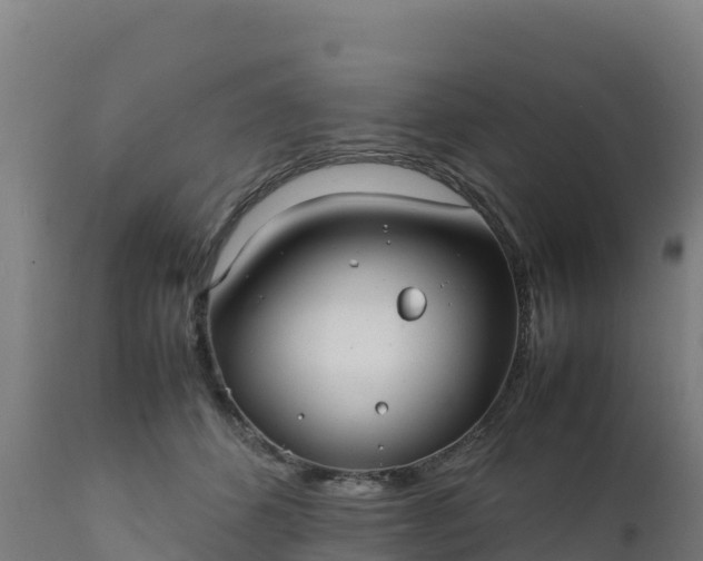 X0000112410512200908281817