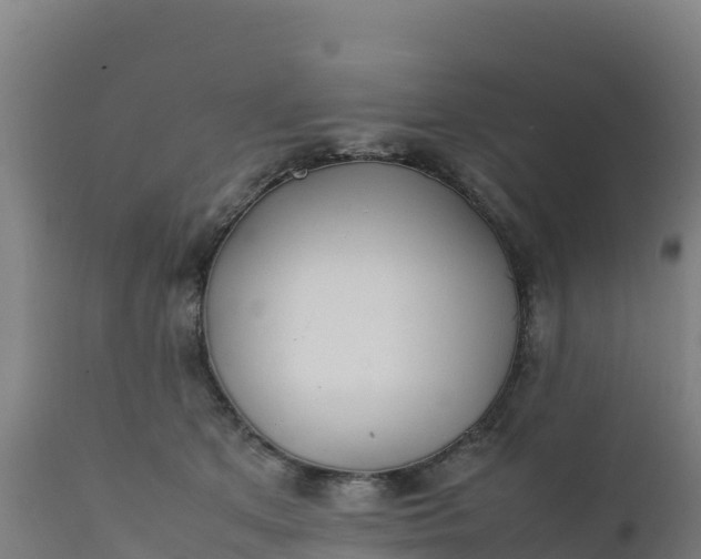 X0000112410513200908281817