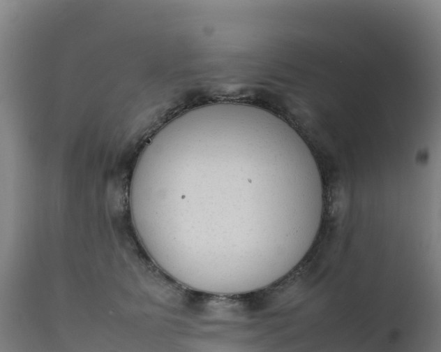 X0000112410515200908281817