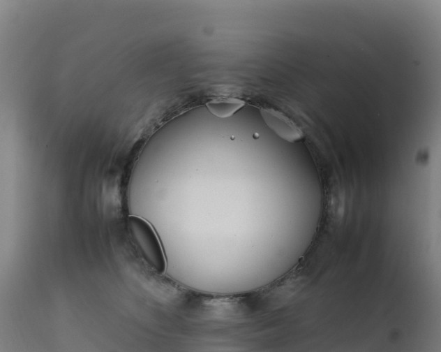 X0000112410516200908281817