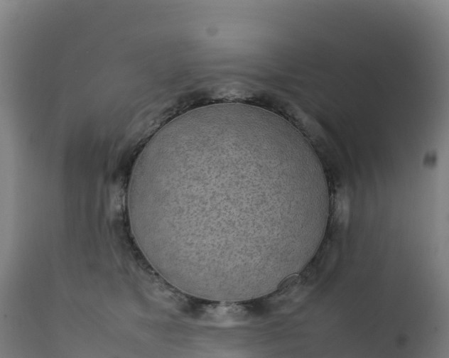 X0000112410517200908281817