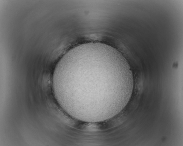 X0000112410518200908281817