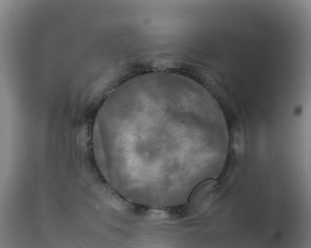 X0000112410519200908281817