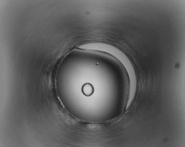 X0000112410520200908281817