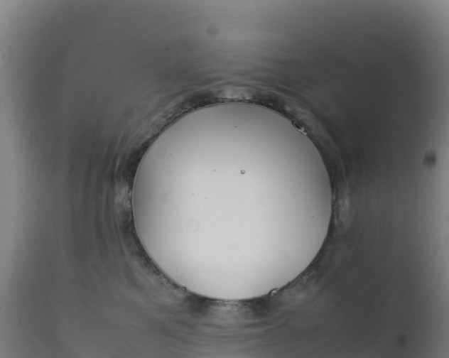 X0000112410521200908281817