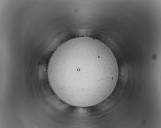 X0000112410522200908281817