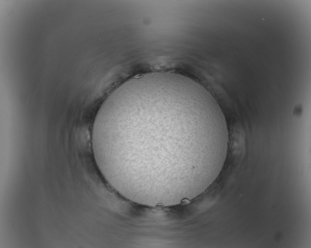 X0000112410523200908281817