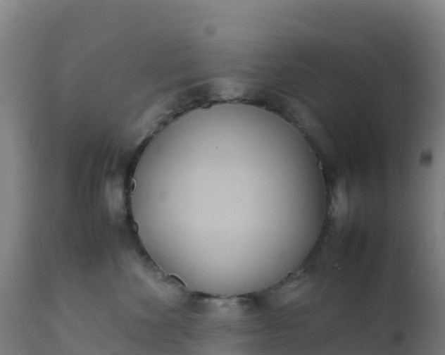 X0000112410524200908281817