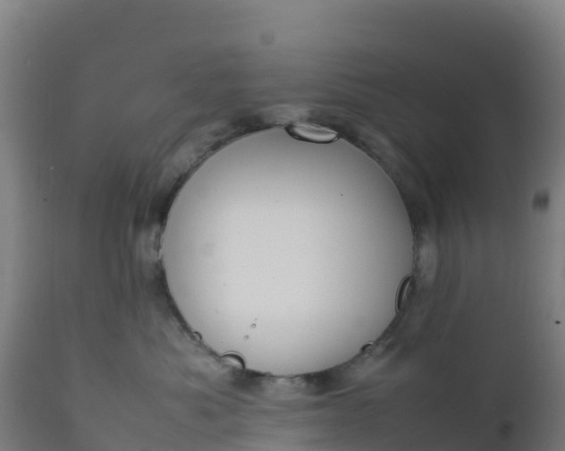 X0000112410525200908281817