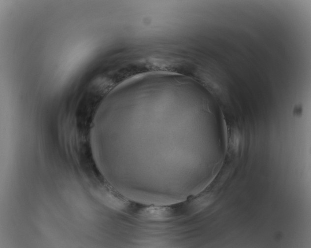 X0000112410526200908281817