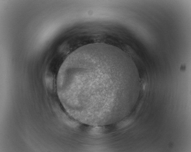 X0000112410527200908281817