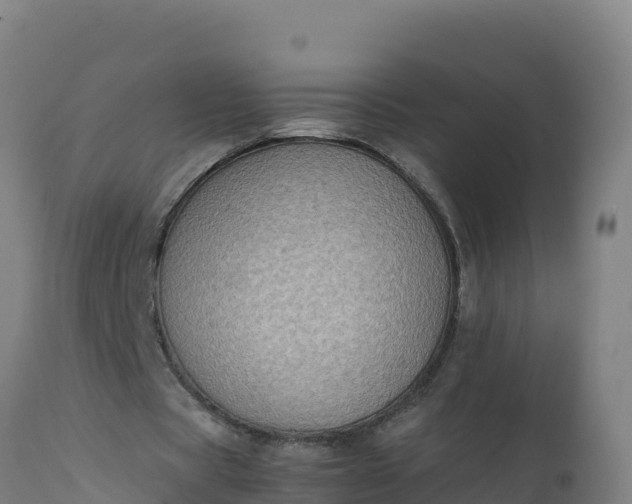 X0000112410529200908281816