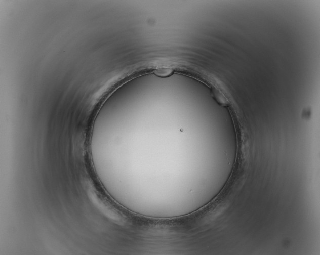 X0000112410530200908281816