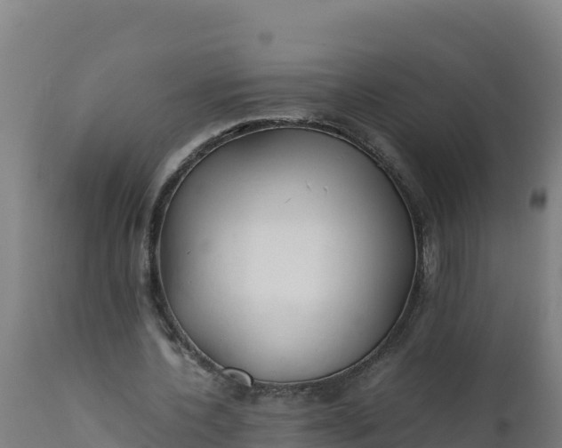 X0000112410532200908281816