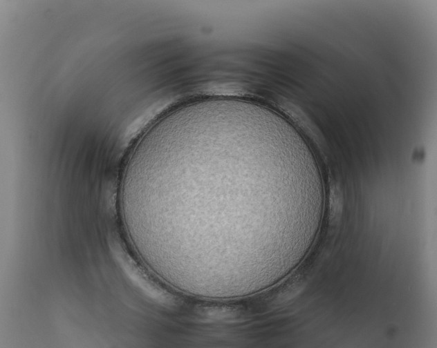 X0000112410533200908281816