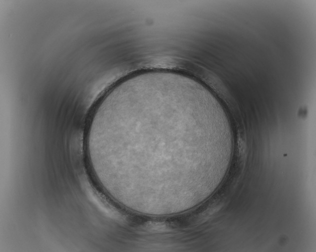 X0000112410534200908281816