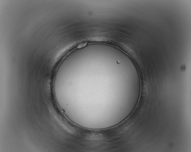 X0000112410535200908281816