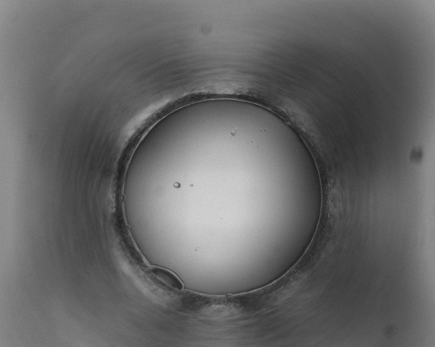 X0000112410536200908281816