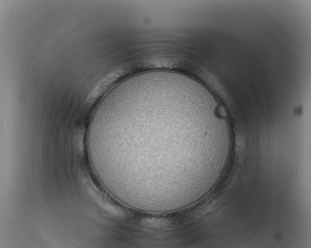 X0000112410537200908281816