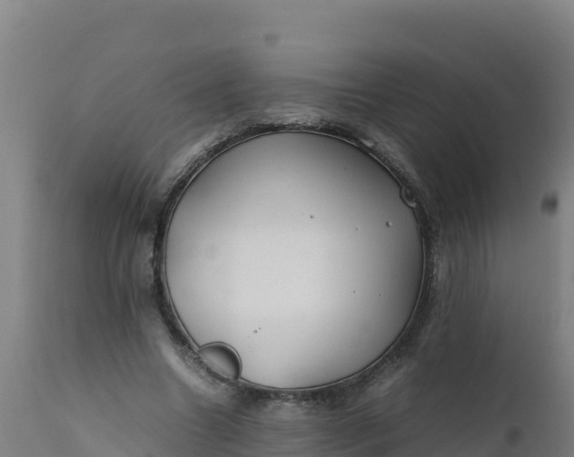 X0000112410538200908281816