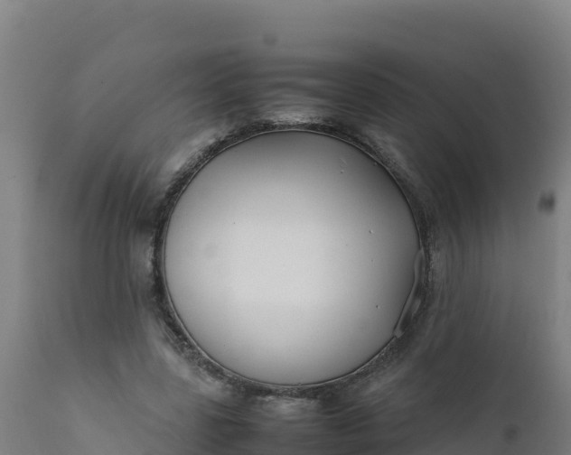 X0000112410539200908281816