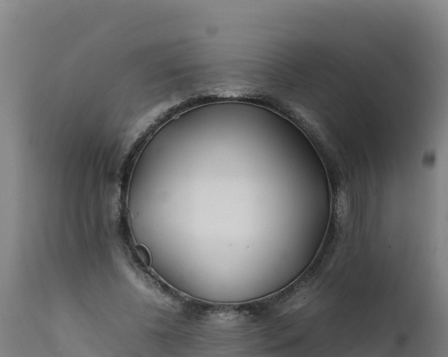 X0000112410540200908281816