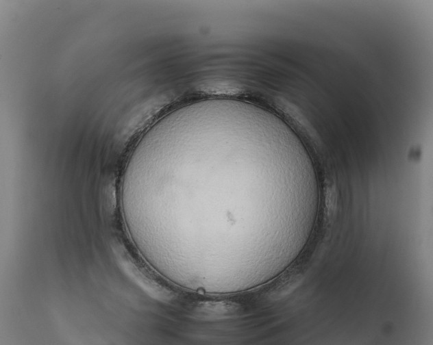 X0000112410541200908281816