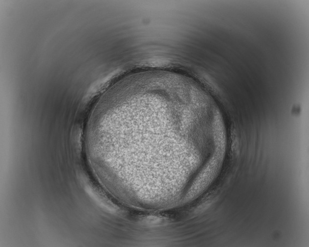 X0000112410542200908281816