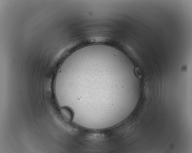 X0000112410543200908281816