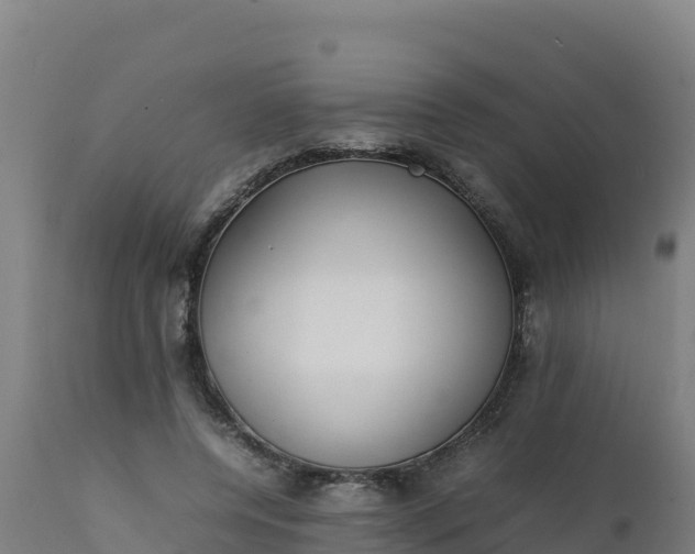 X0000112410544200908281816