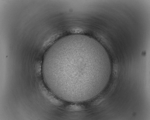 X0000112410545200908281816