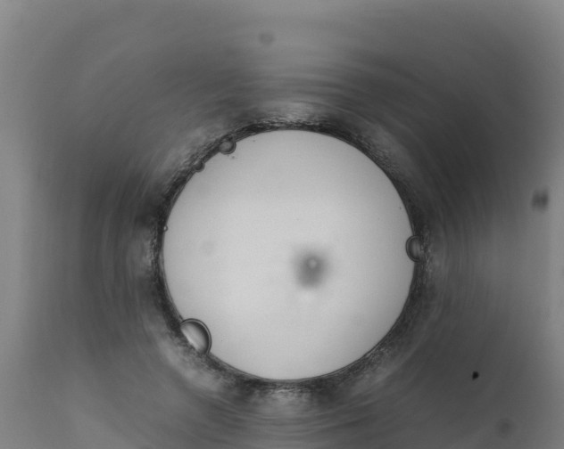 X0000112410546200908281816