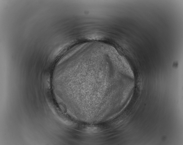 X0000112410547200908281816