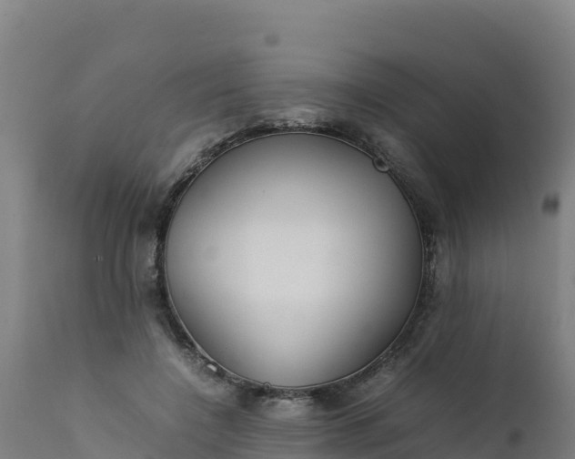 X0000112410548200908281816