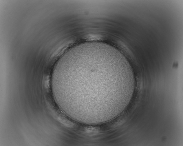 X0000112410549200908281816