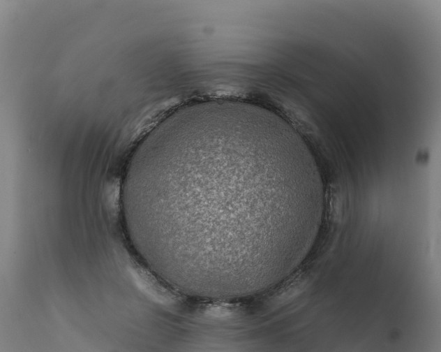 X0000112410550200908281816