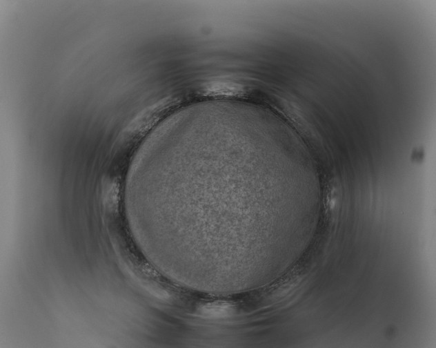 X0000112410551200908281816