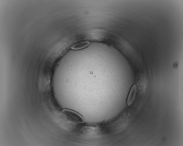 X0000112410552200908281816