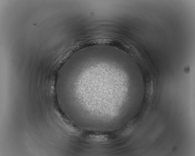 X0000112410553200908281816