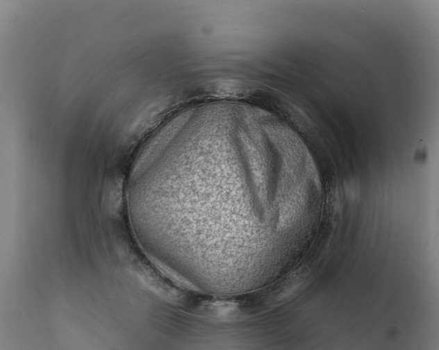 X0000112410554200908281816