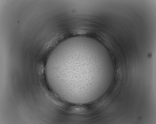 X0000112410555200908281816