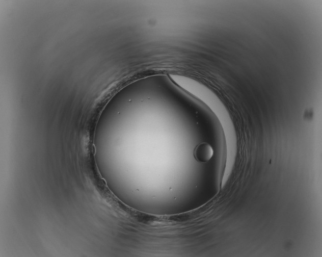 X0000112410556200908281816